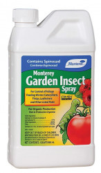 Gdn Insect Spray 32oz Conc*dis