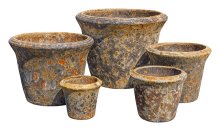 Riviera Campana Foam Rust S5
