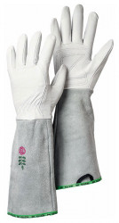 Hestra Rose Glove 8/m