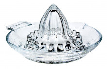 Glass Citrus Juicer