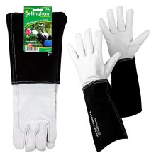 Thorn Pro Gauntlet X-l