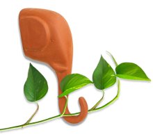 Elephant Trunk Stem Guide - Plant Hook