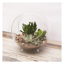 Terrarium Sphere W/feet 10"