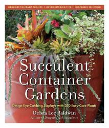 Succulent Container Gardens