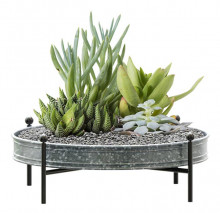 Tabletop Planter W/stand 16"