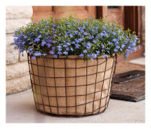 Bushel Bsk 14" Rustic Wire