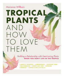 Tropical Plants