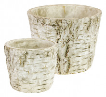 Cement Birch Bark Pot S/2 - Plant Pot