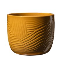 S K Leon 20cm Curry