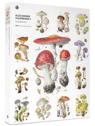 Puzzle Mushrooms-1000pc alexand Wholesale Puzzles