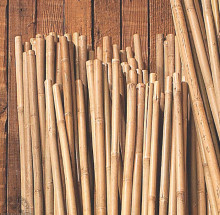 Bamboo Stake 6' X 5/8" Bnd100