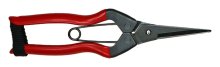 Gt Needlenose Pruner