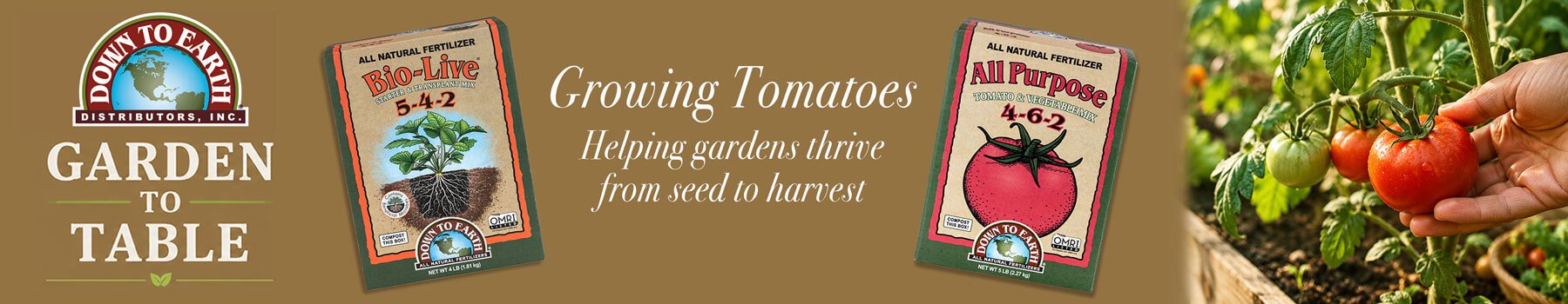 Garden To Table- Growing Tomatoes- How To Fertilize