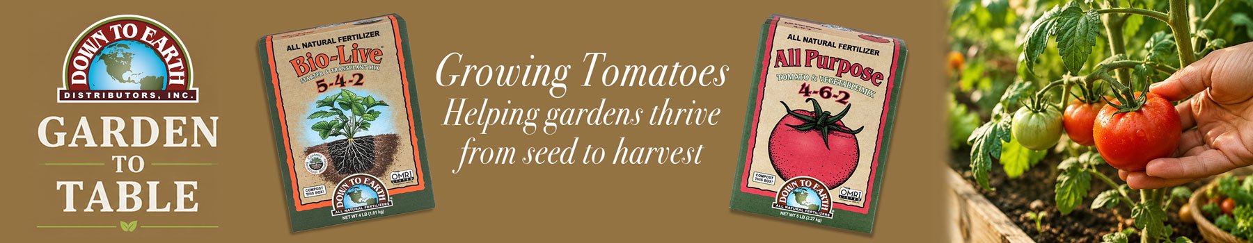Garden To Table- Growing Tomatoes- How To Fertilizer