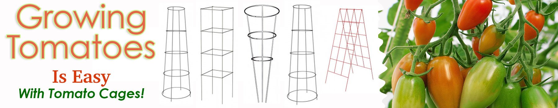 Growing Tomatoes The Easy Way