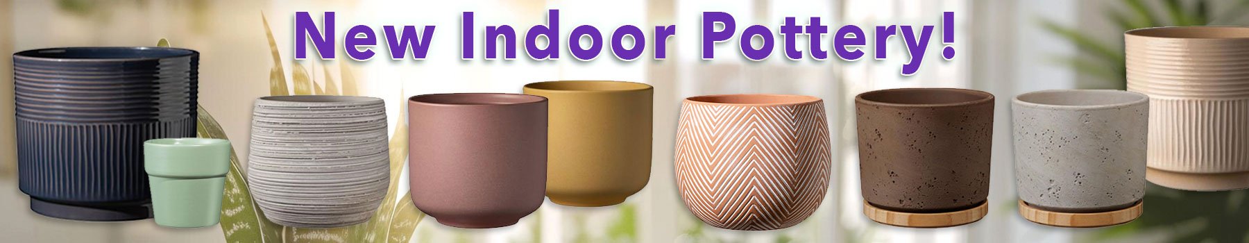 New Indoor Pottery!