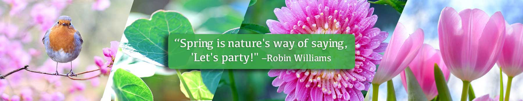 Spring is Natures Way of Saying 'Let's Party!' - Robin Williams