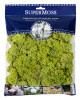 Reindeer Moss 4oz Chartreuse