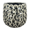 Coral Pot 3"  Crackle Grn