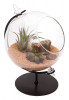 Terrarium Planter W/stand