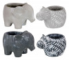 Cement Elephant/hippo Asst
