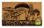 Coir Mat/pvc Mushroom Drawing - wholesale coir mat