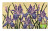 Coir Mat/pvc Iris 18"x30" - wholesale coir mat