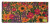 Coir Mat/pvc Wildflowers18"x40