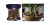 Orchid Potting Bark 4qt *now E