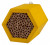 Mason Bee House Honey Comb^
