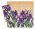 Napkins Iris