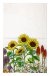 Kitchen Towel Pollinator Garden- 100% cotton -sunflower design