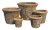 Riviera Campana Foam Rust S5