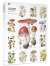 Puzzle Mushrooms-1000pc alexand Wholesale Puzzles