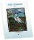 Birds Coloring Bk Molly Hashim- Wholesale Coloring Books